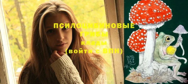 твердый Зеленокумск